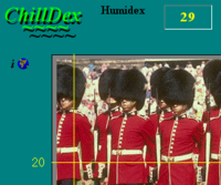Chilldex screenshot